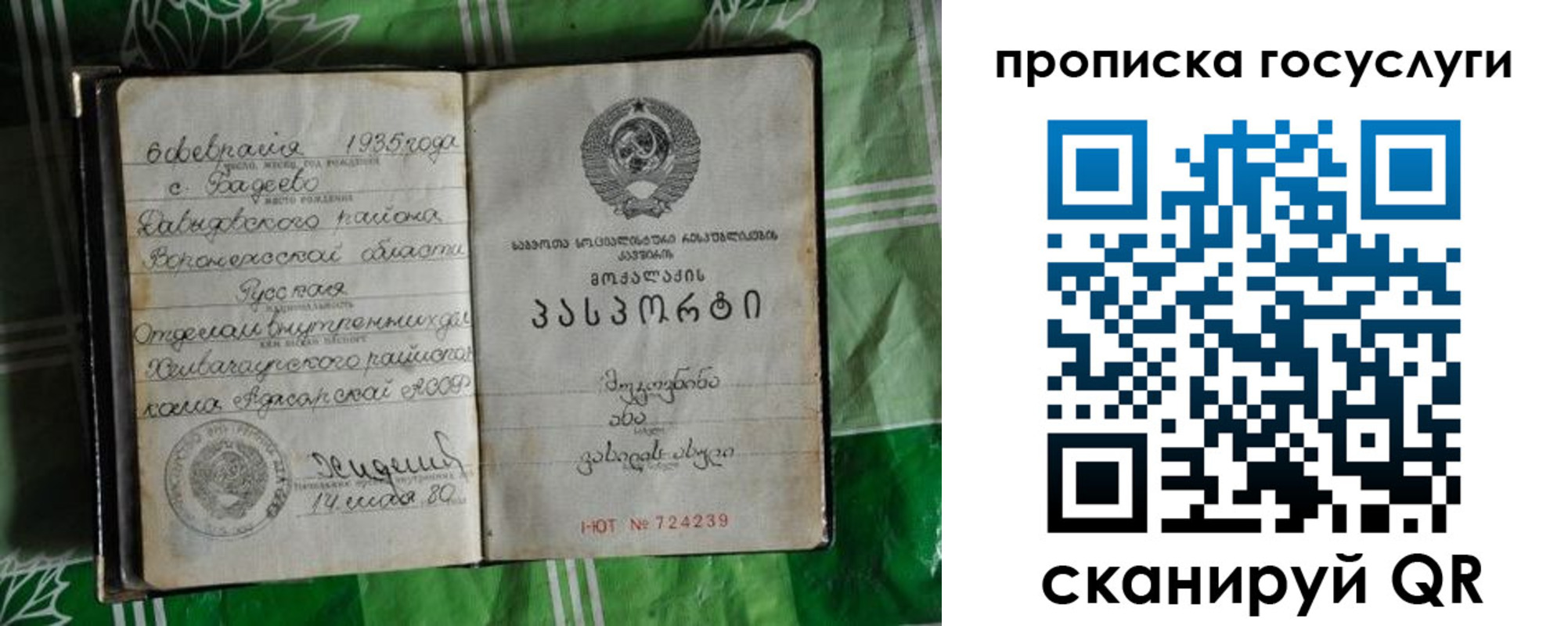 прописка паспорт в Мурманской области
